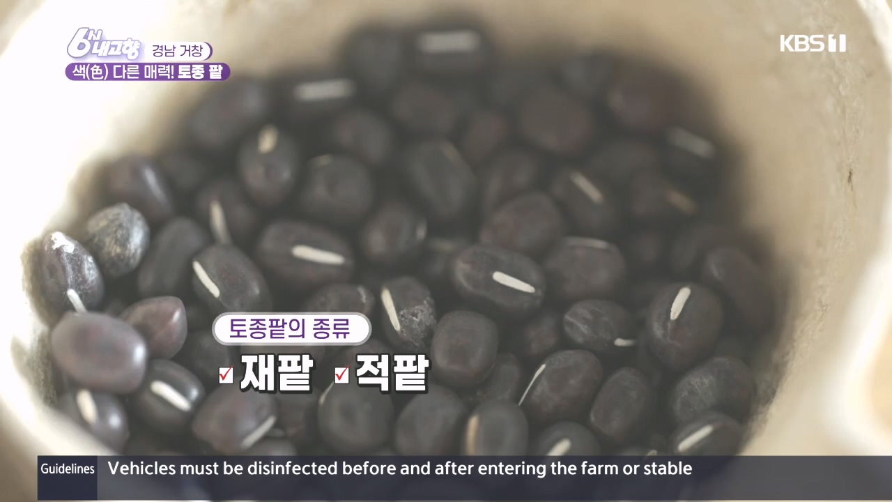 6시 내고향.E7897.231025p.H264-F1RST.mp4_20231025_202859.028.jpg