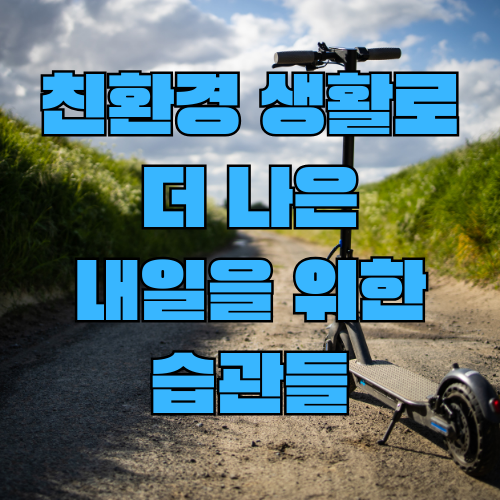썸네일 사진
