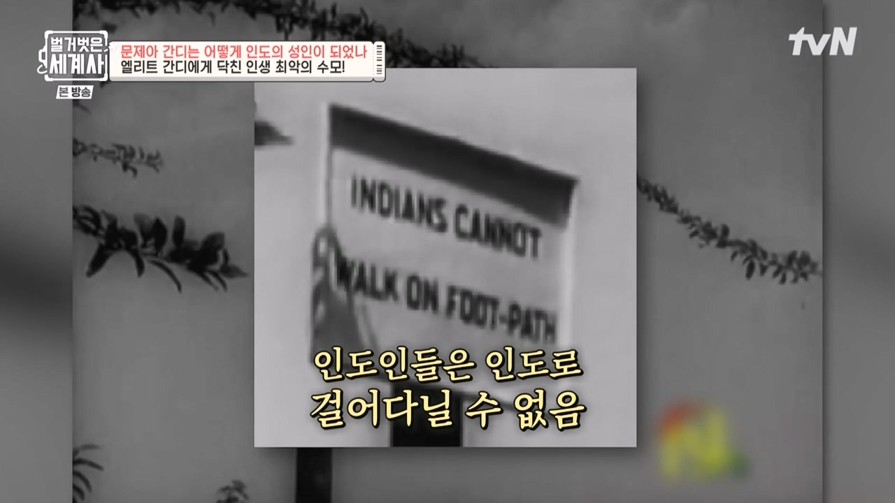 벌거벗은 세계사.E92.230329p-NEXT.mp4_20230425_201723.161.jpg
