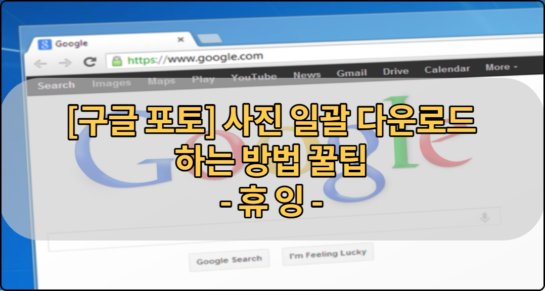  [구글 포토] 사진 일괄 다운로드 하는 방법 꿀팁
