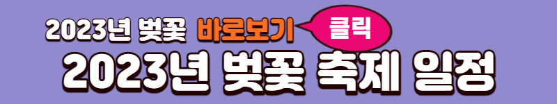 2023 벚꽃 시즌 & 벚꽃 축제