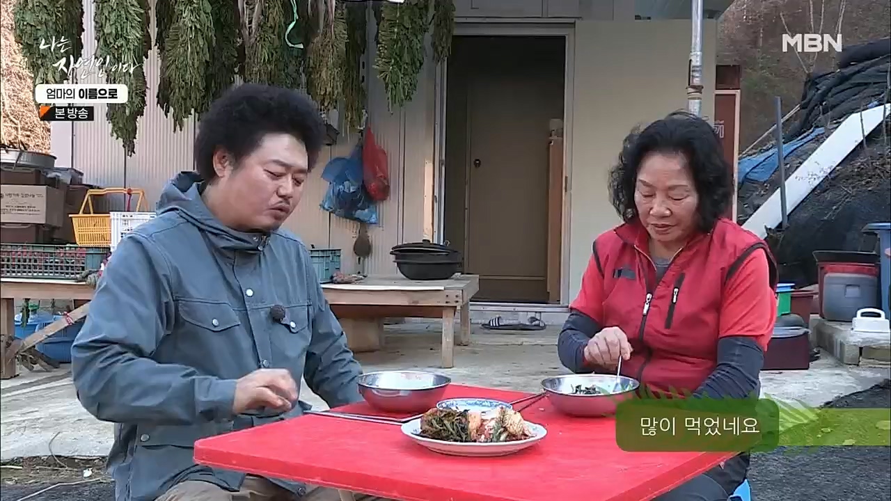 나는 자연인이다.E531.221208p.H264-F1RST.mp4_20221208_204248.542.jpg