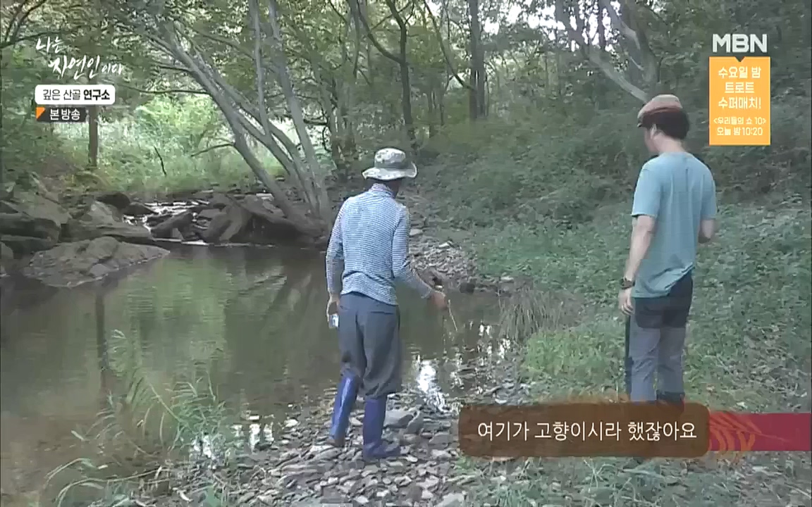 나는 자연인이다.E523.221013p.WANNA.mp4_20221013_201142.396.jpg