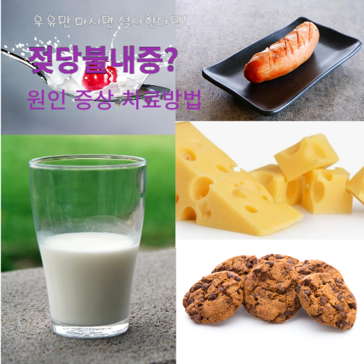 젖당불내증 원인 증상 치료방법