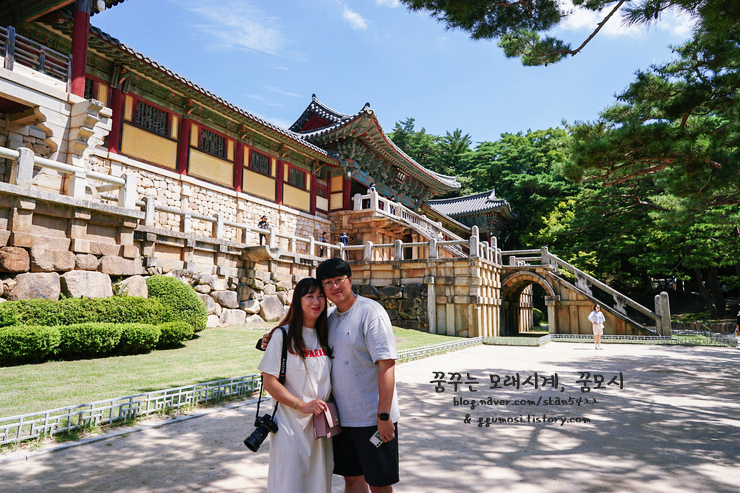 스타벅스경주보문로DT점 이미지