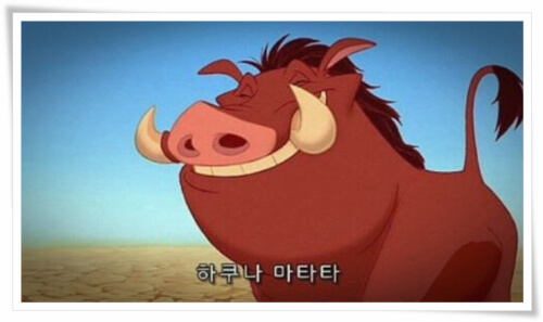 하쿠나마타타 이미지