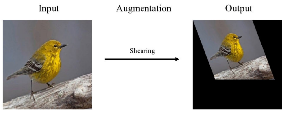 [Paper Review] Image Data Augmentation Approaches (~ 1. Basic Image ...