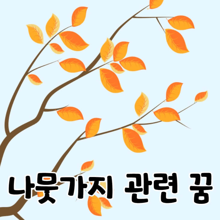 단풍이 든 나뭇가지