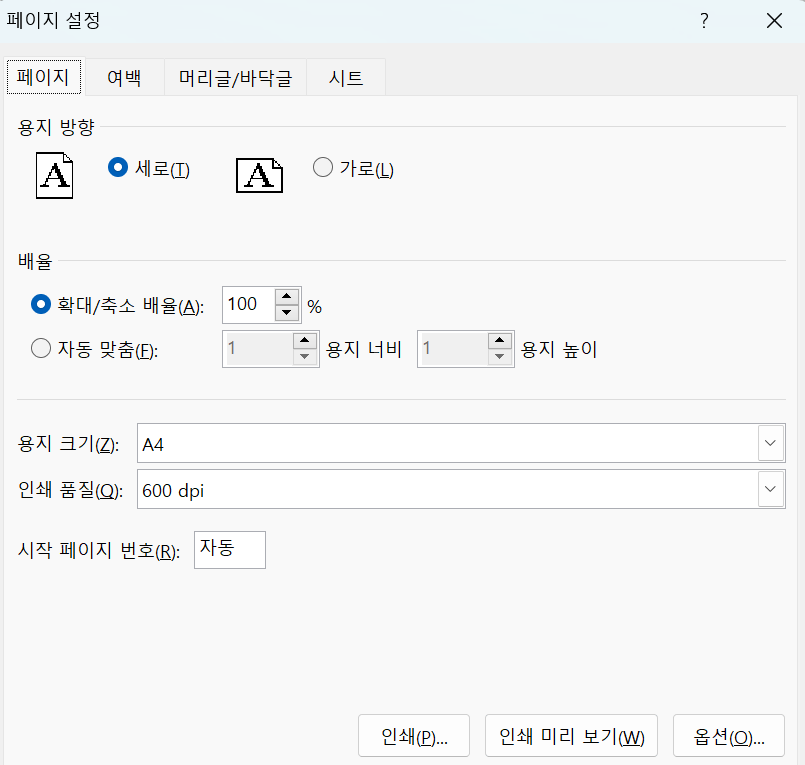 페이지 설정 페이지 탭