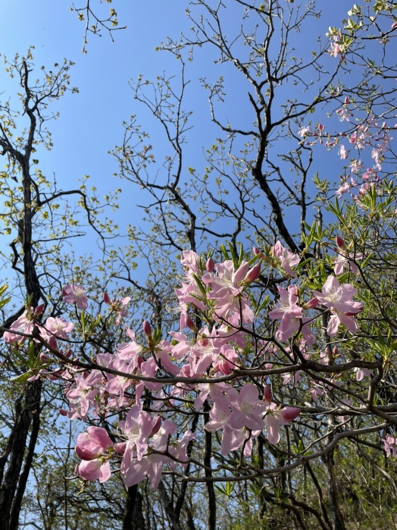 민주지산