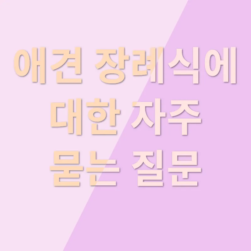애견장례식장 추천_4