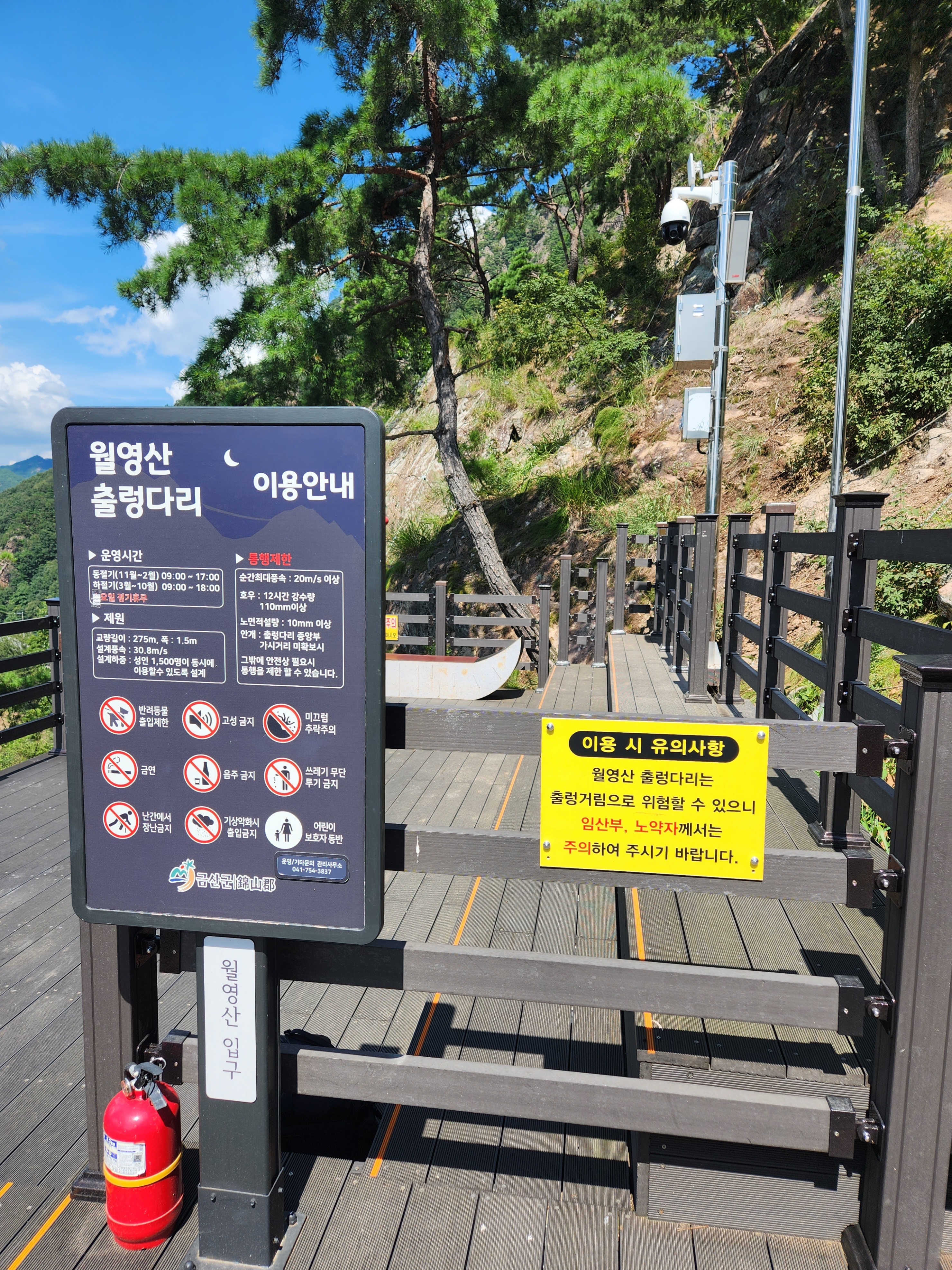 금산 가볼만한 곳 월영산 출렁다리
