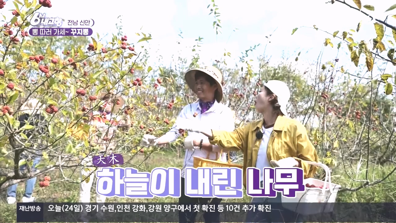 6시 내고향.E7897.231025p.H264-F1RST.mp4_20231025_202900.809.jpg