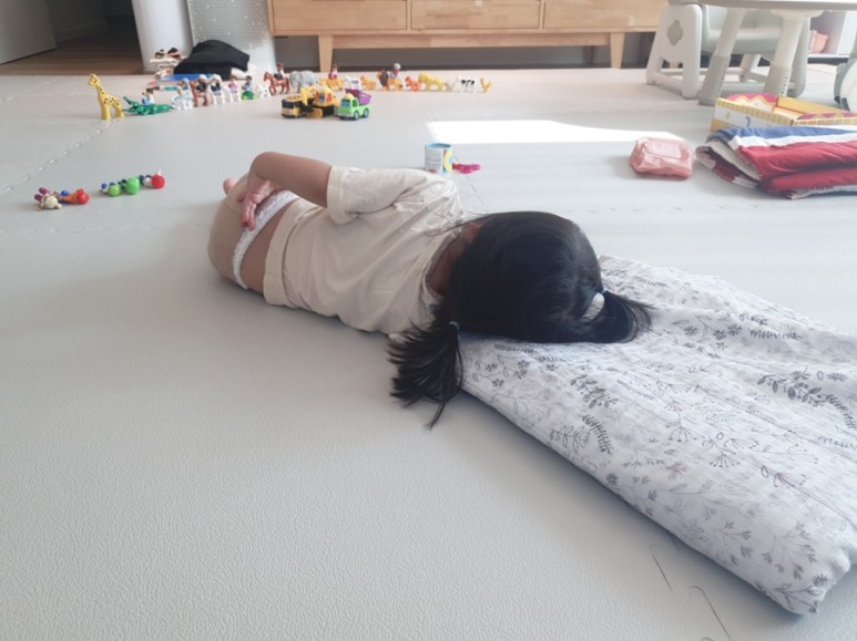 기침에 28개월) 파라바이러스 감염?! :: 고열, 5