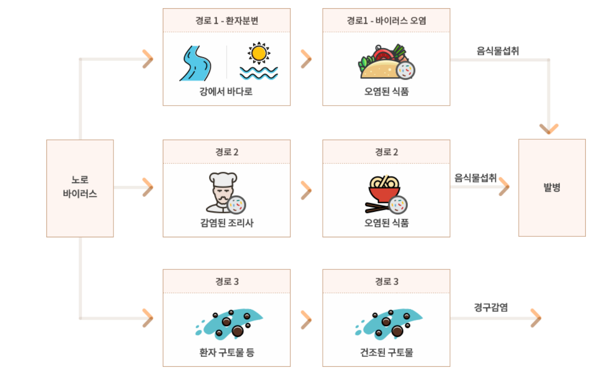 노로바이러스 장염 증상, 치료법, 예방법