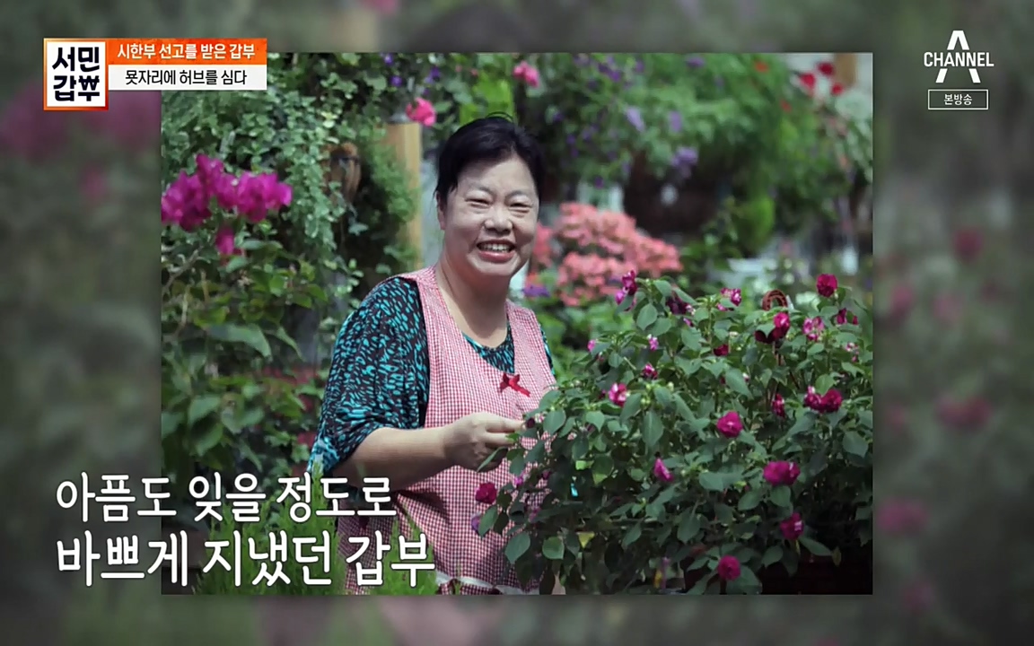 서민 갑부.E380.220424p-NEXT.mp4_20220424_182632.452.jpg