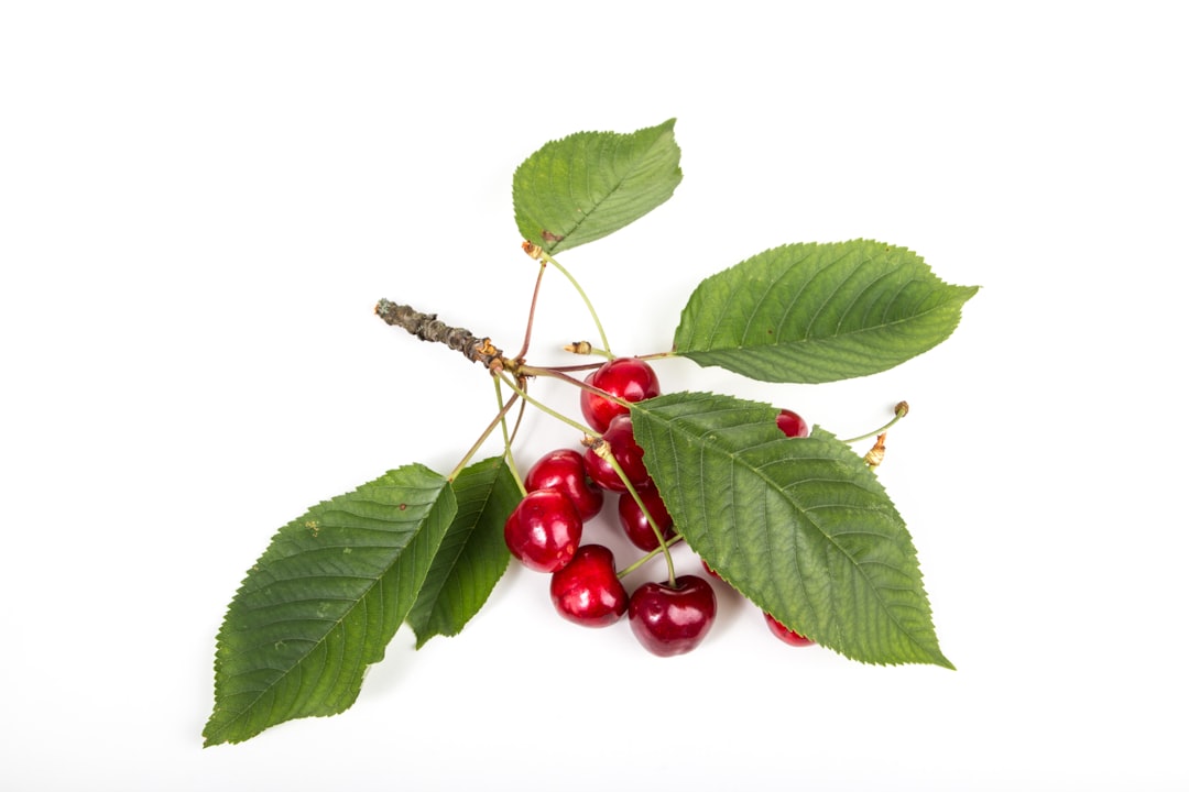 Cherry