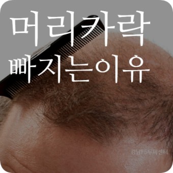  머리카락 빠지는 이유