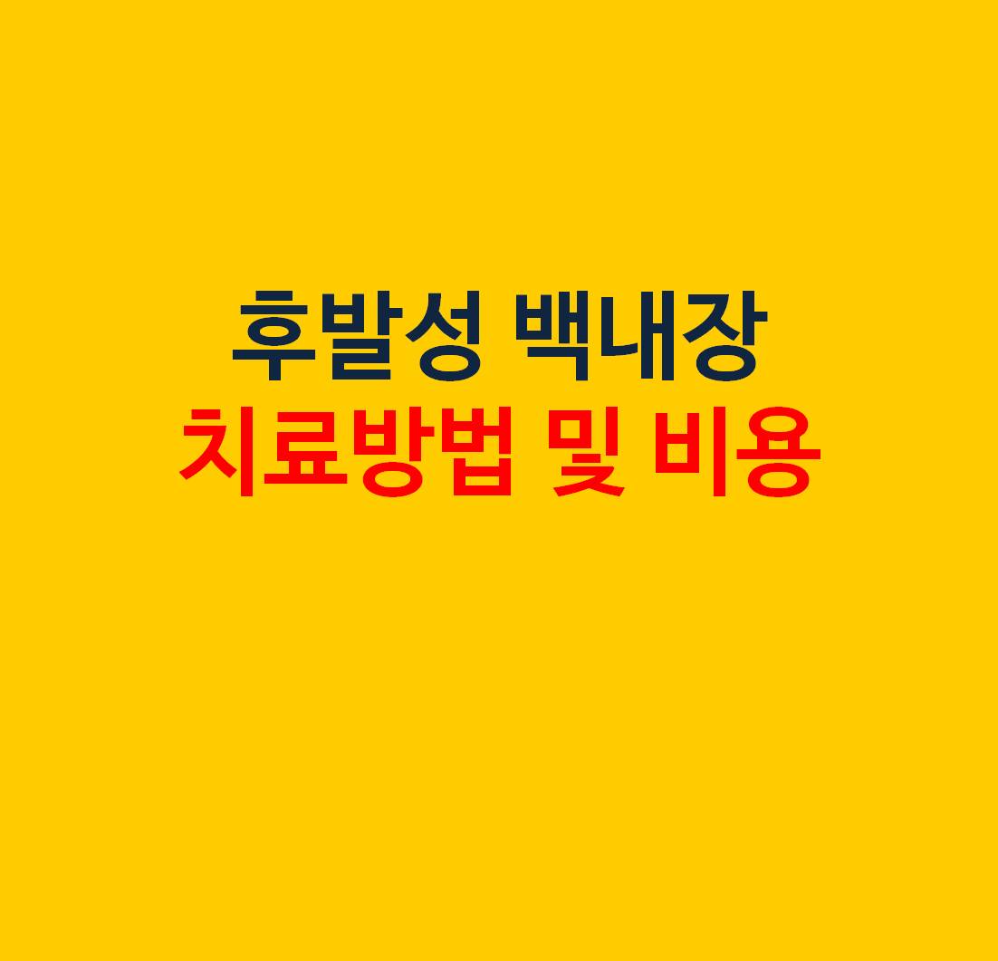 후발성 백내장 치료방법 및 비용