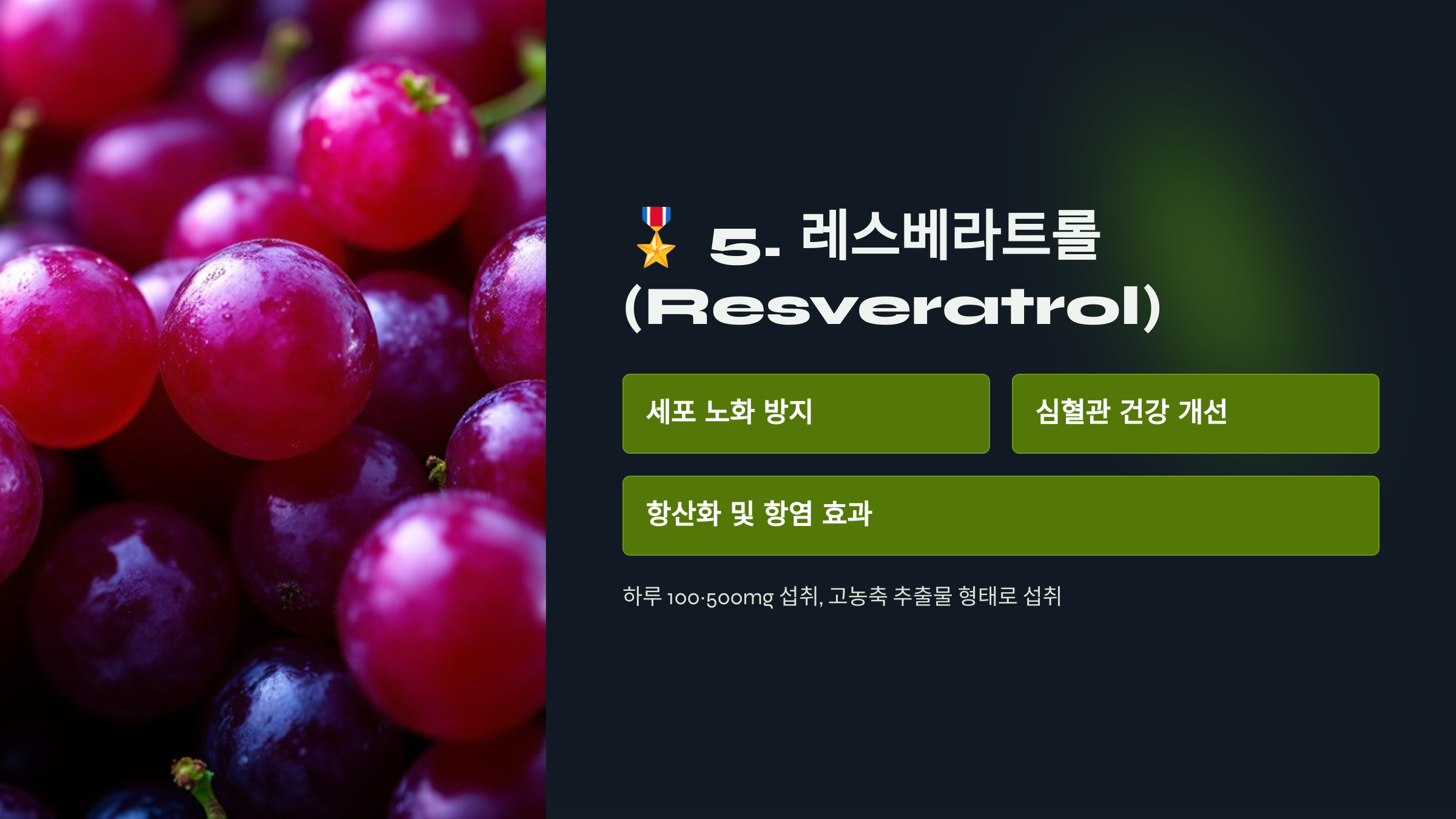 🎖️ 5. 레스베라트롤 (Resveratrol) - 젊음의 비밀, 폴리페놀!