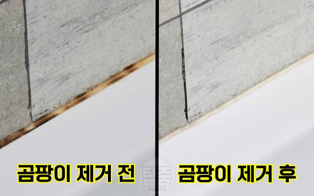 오래된 곰팡이 제거 욕실 실리콘 곰팡이 제거 방법 전후