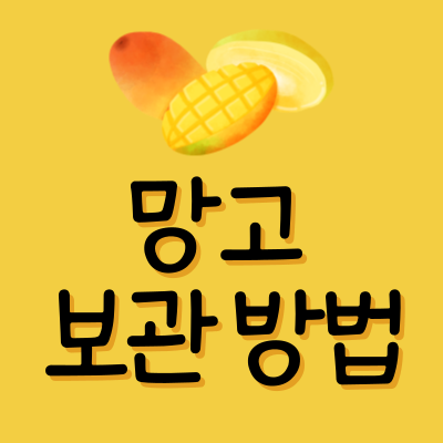 망고 보관 방법 정리 실온 후숙 냉장 냉동 유통 기한