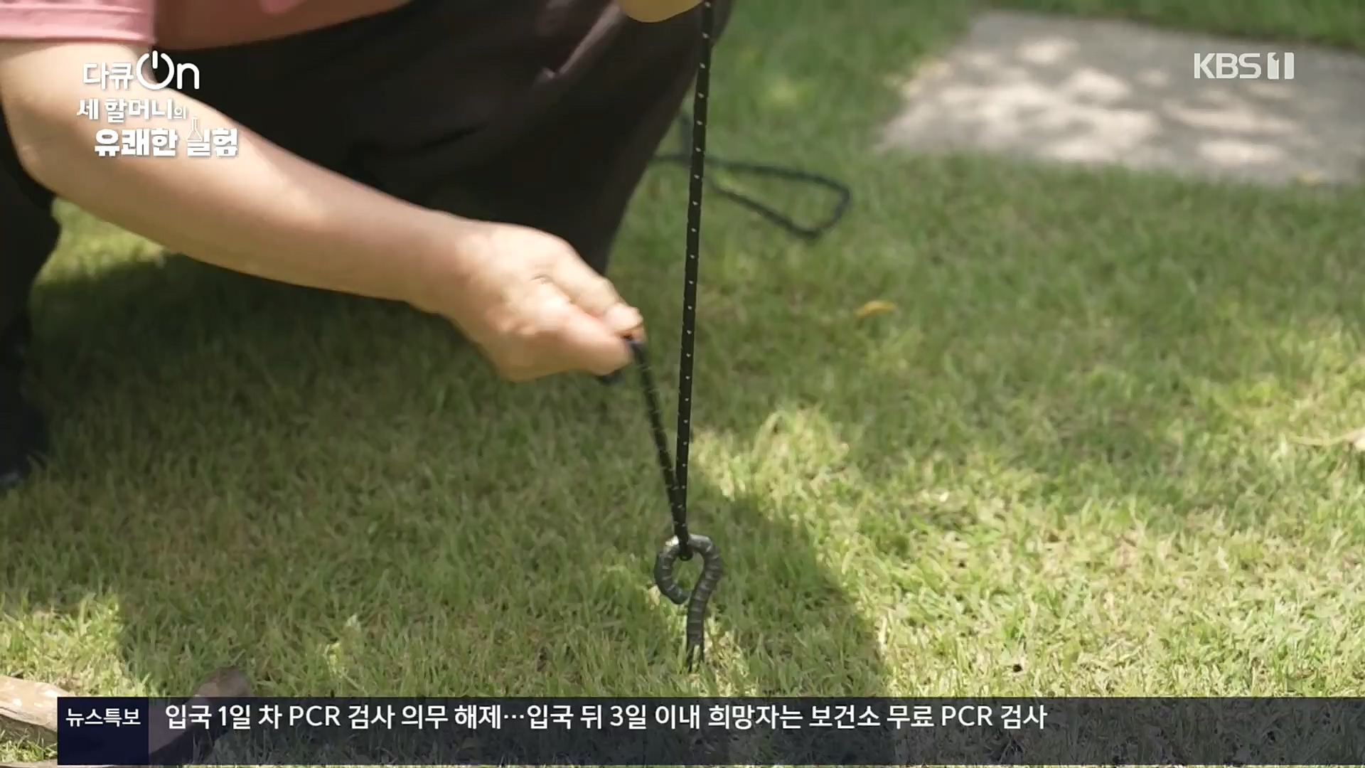 다큐 On.E166.221028p.H264-F1RST.mp4_20221031_194359.313.jpg