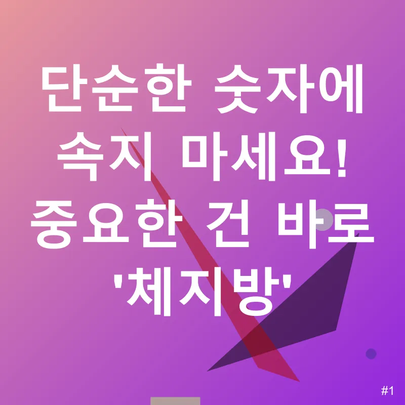 저탄고지 다이어트_1