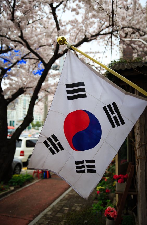  한국의 사회동향 2022