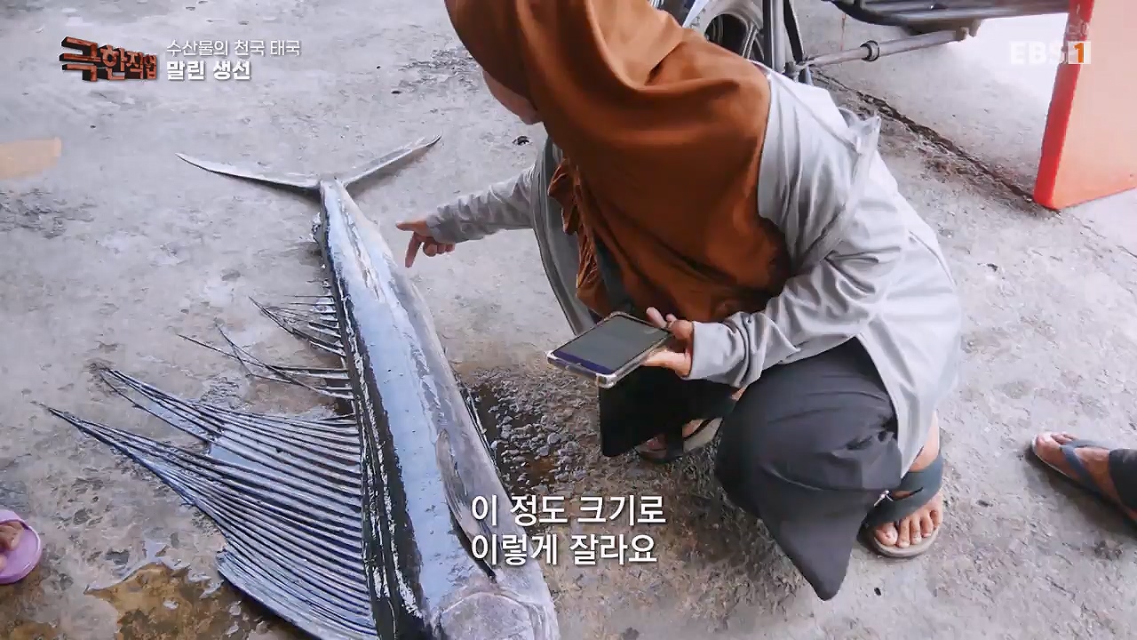 TV - 전 국민의 평생학교 EBS수산물의 천국 태국, 새우 양식과 말린 생선.mp4_20240604_201808.367.jpg