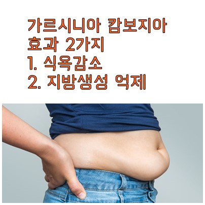 가르시니아-캄보지아-효능-효과