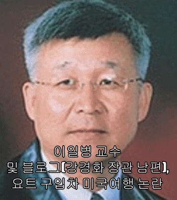  이일병 교수 및 블로그(강경화 장관 남편), 요트 구입차 미국여행 논란