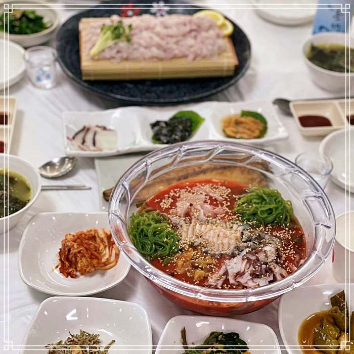 6시 내고향 강릉 강문해변 짬뽕 물회&#44; 회덮밥 맛집