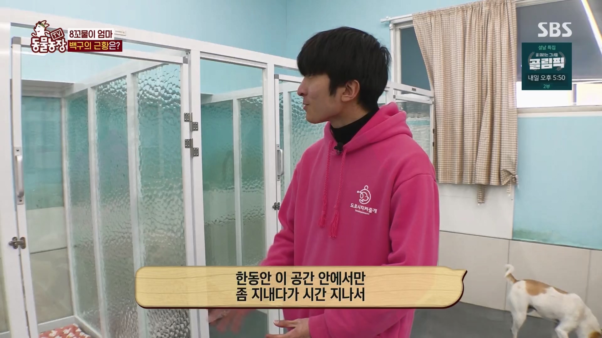 TV 동물농장.E1158.240211p.H264-F1RST.mp4_20240211_194104.479.jpg