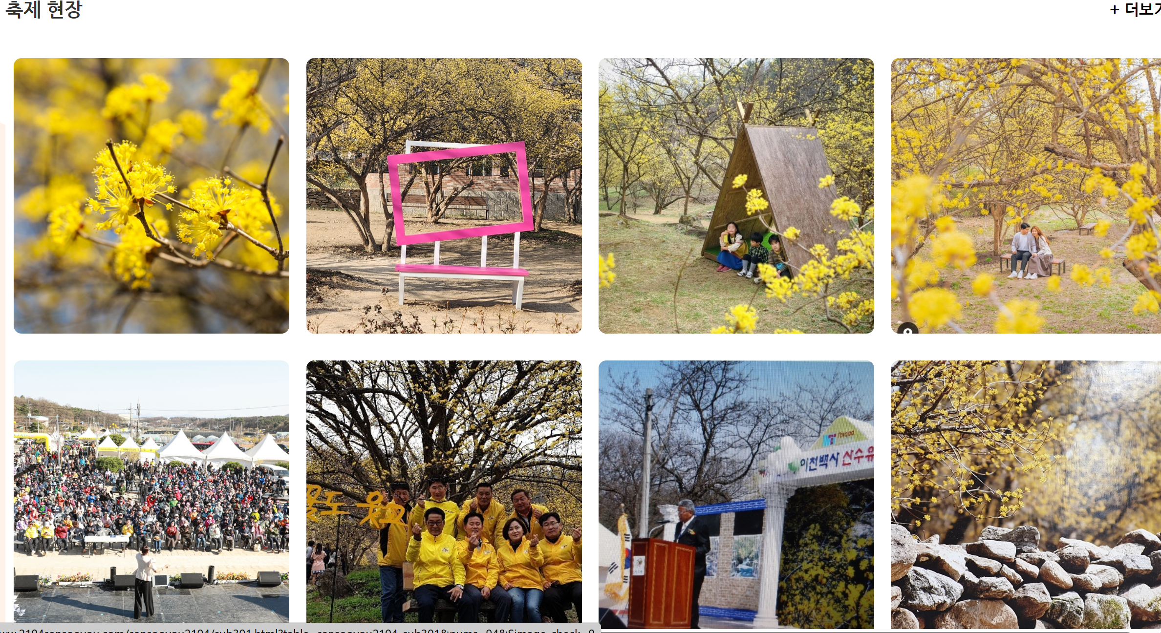 이천산수유축제갤러리