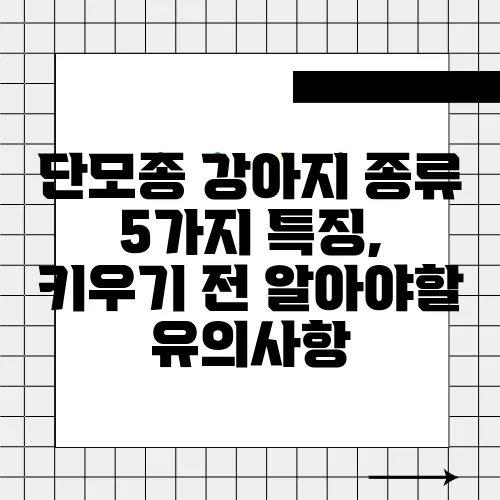 단모종 강아지 종류 5가지 특징, 키우기 전 알아야할 유의사항