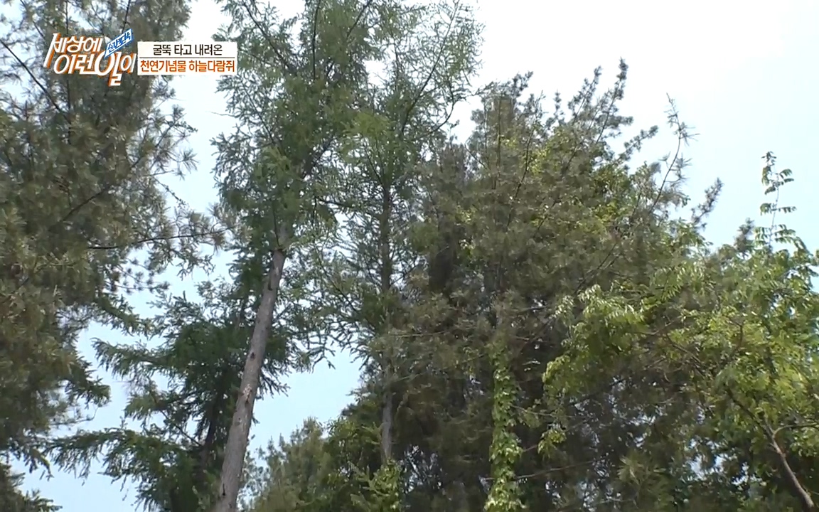 순간포착 세상에 이런일이.E1182.220532p-NEXT.mp4_20220601_173141.151.jpg