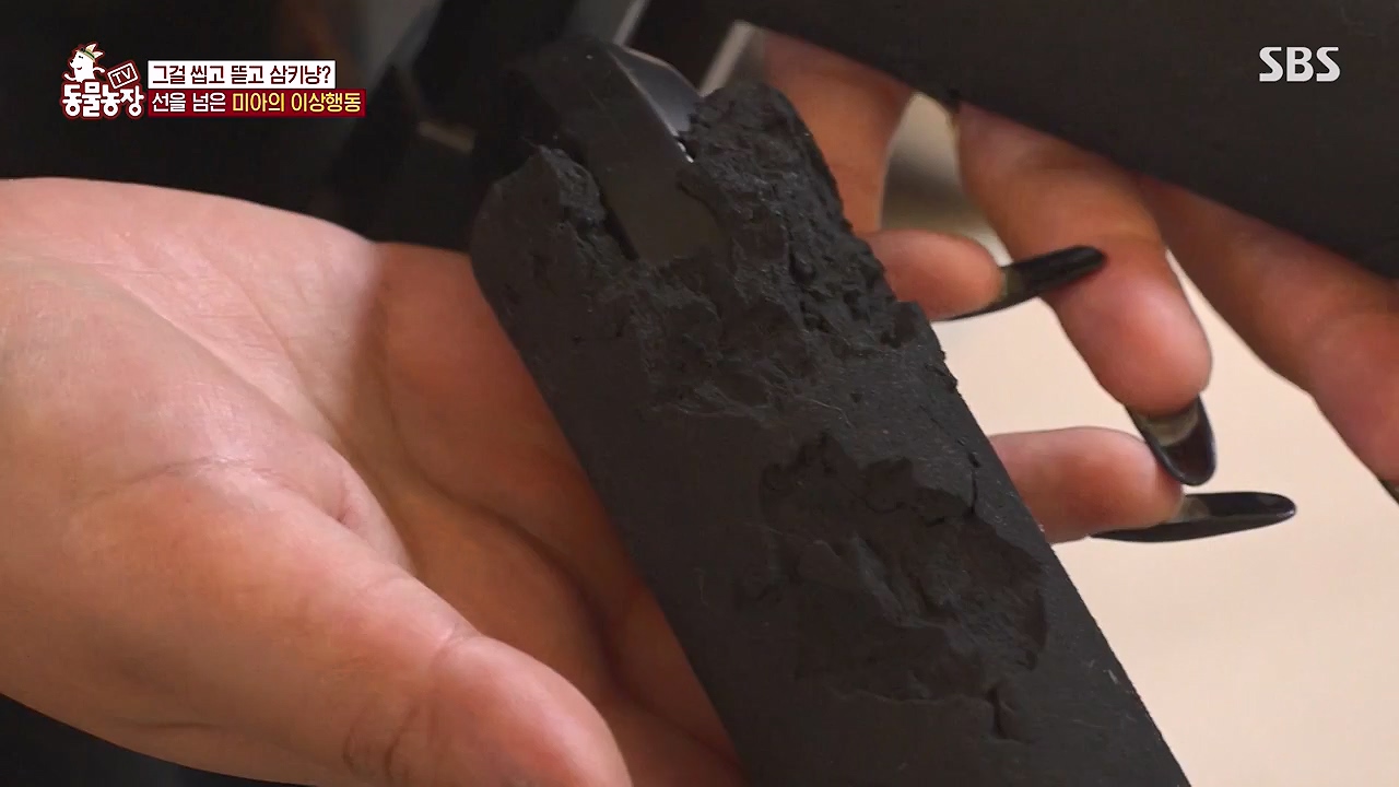 TV 동물농장.E1138.230918p-NEXT.mp4_20230917_174239.627.jpg