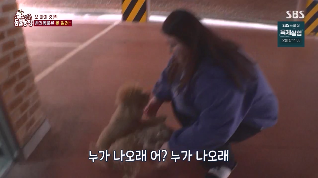 TV 동물농장.E1140.231009p-NEXT.mp4_20231008_174816.660.jpg