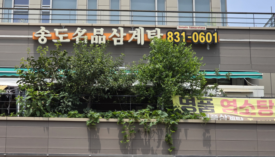 Songdomyeongpumsamgyetang 6