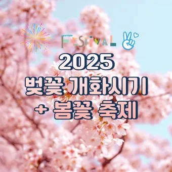 개나리 개화시기 2025 서울 경기 강원 전남 경북 제주_18