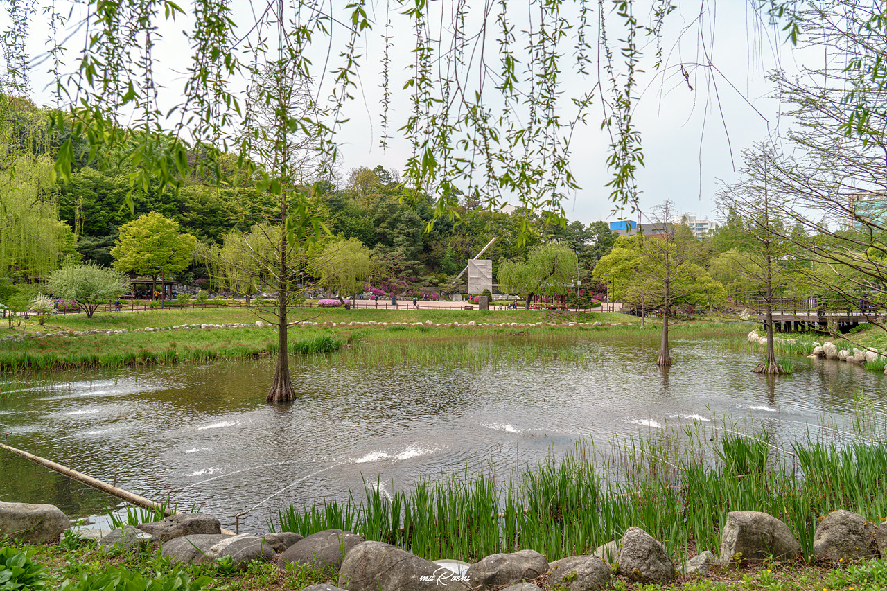 보라매공원