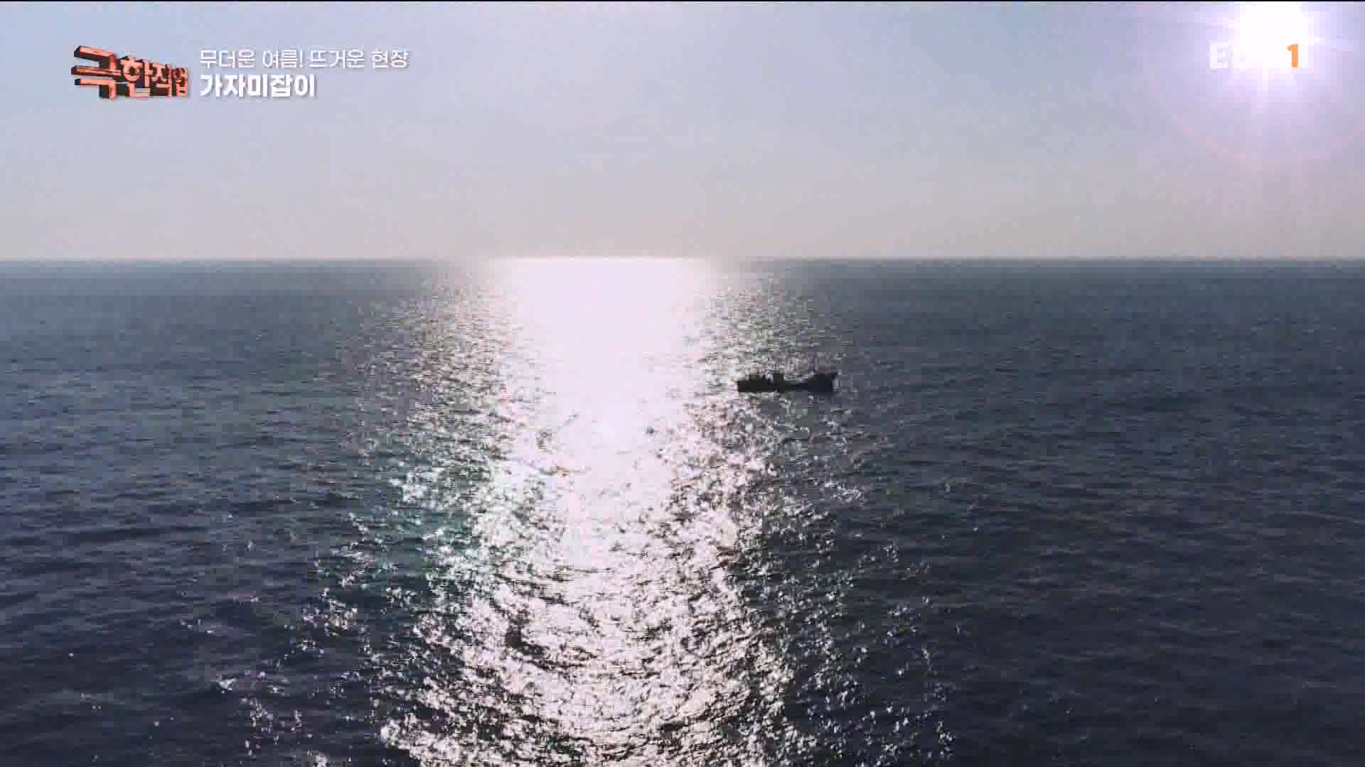 [극한 직업] 가자미잡이와 추어탕 230819.mp4_20230823_203255.279.jpg