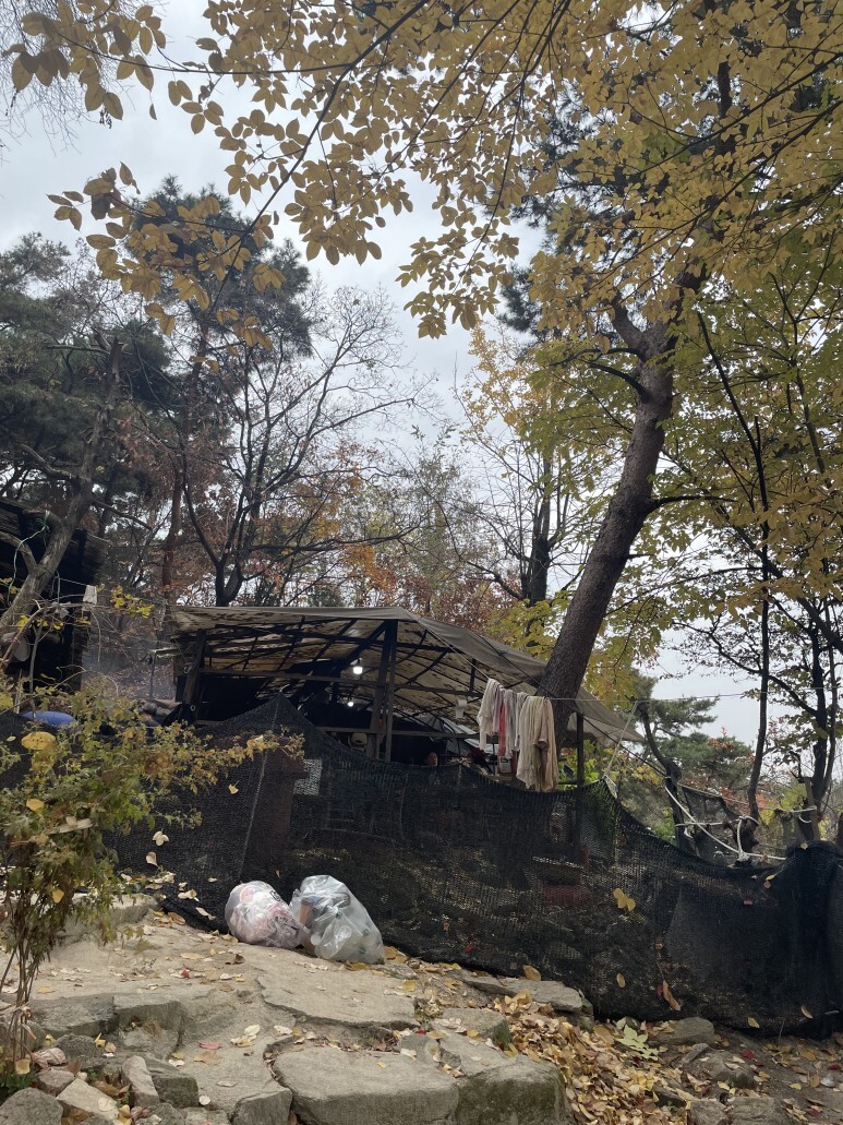 인수재