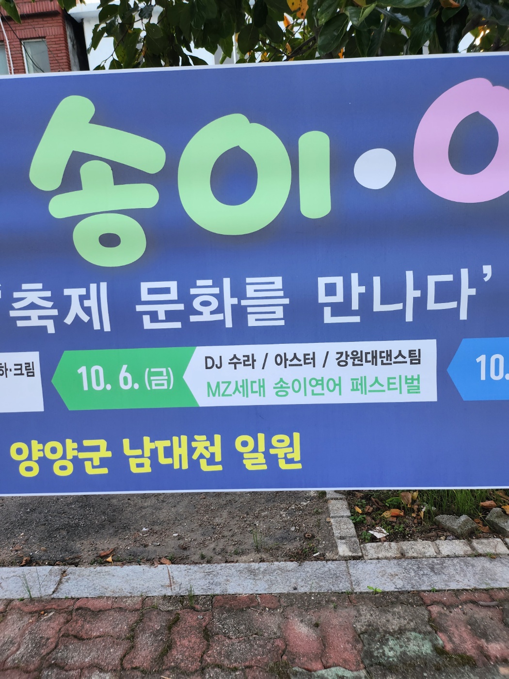 양양여행추천 양양송이연어축제