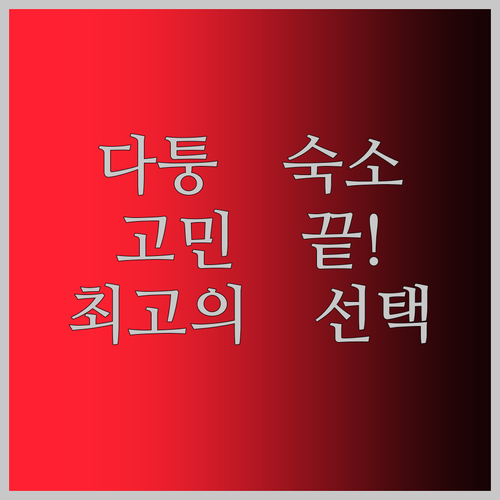 다퉁 여행 숙소 고민 끝! 비파노점부