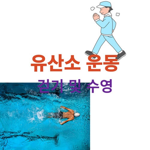 유산소 운동 걷기 수영