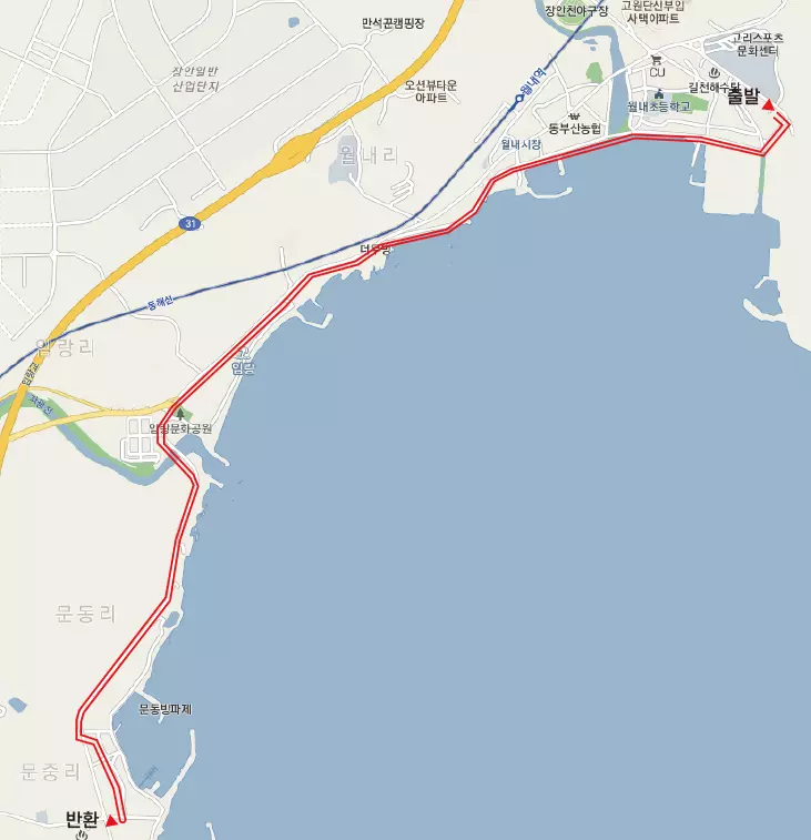 기장 바다 마라톤 대회 10km