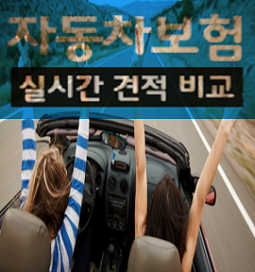  합리적으로 알아보는 법인자동차보험