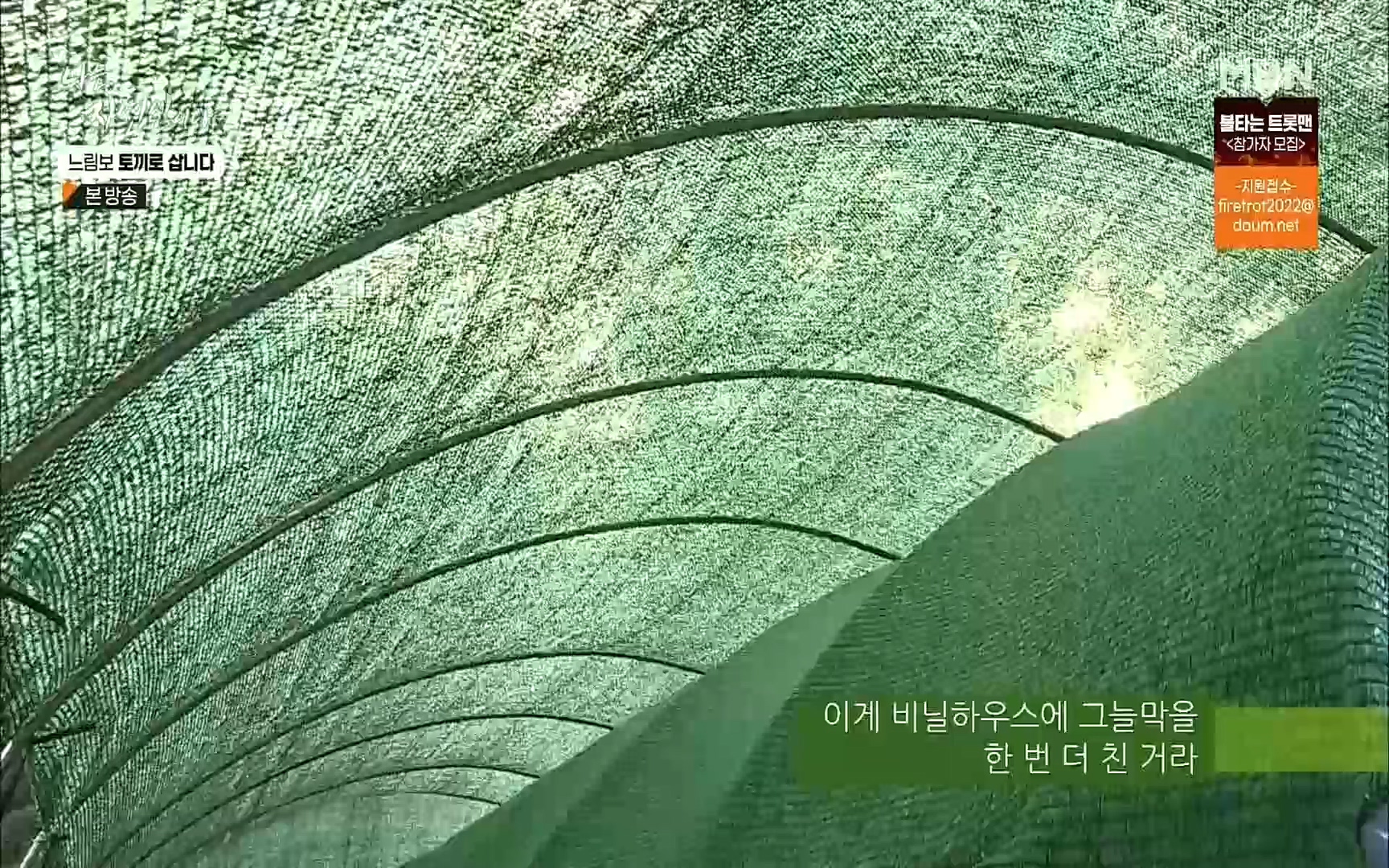 나는 자연인이다.E514.220810p.H264-F1RST.mp4_20220811_202614.678.jpg